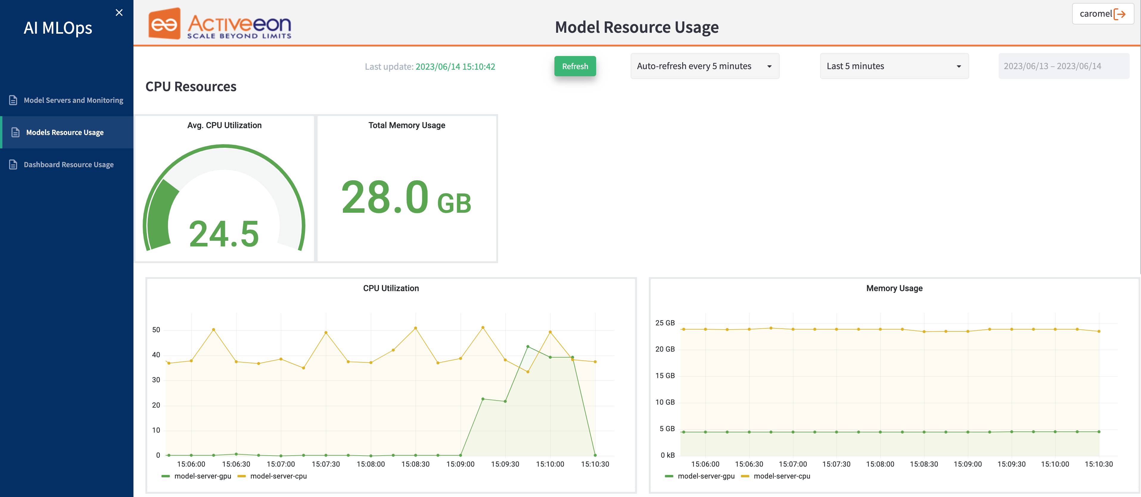 model cpu usage