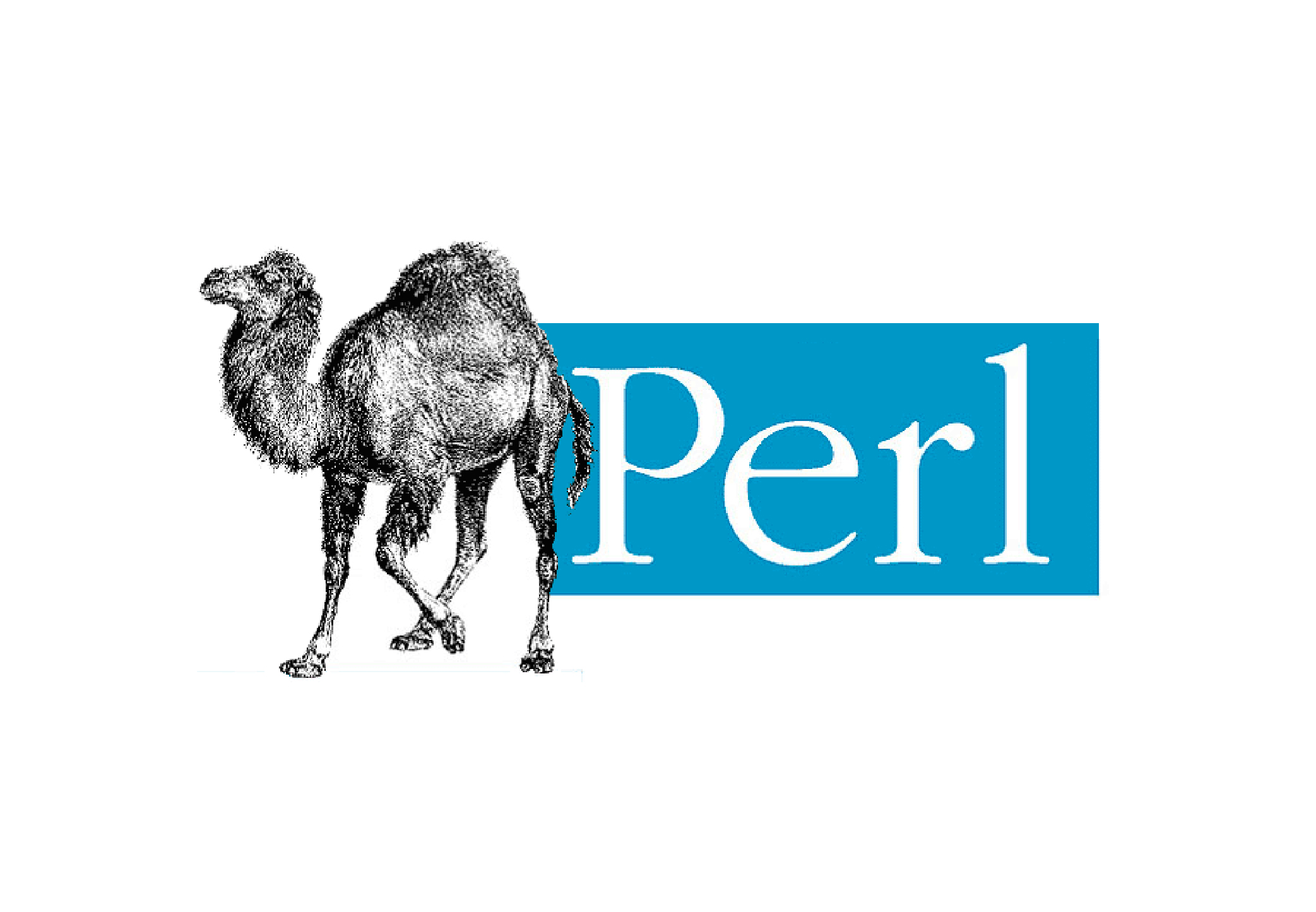 Perl logo