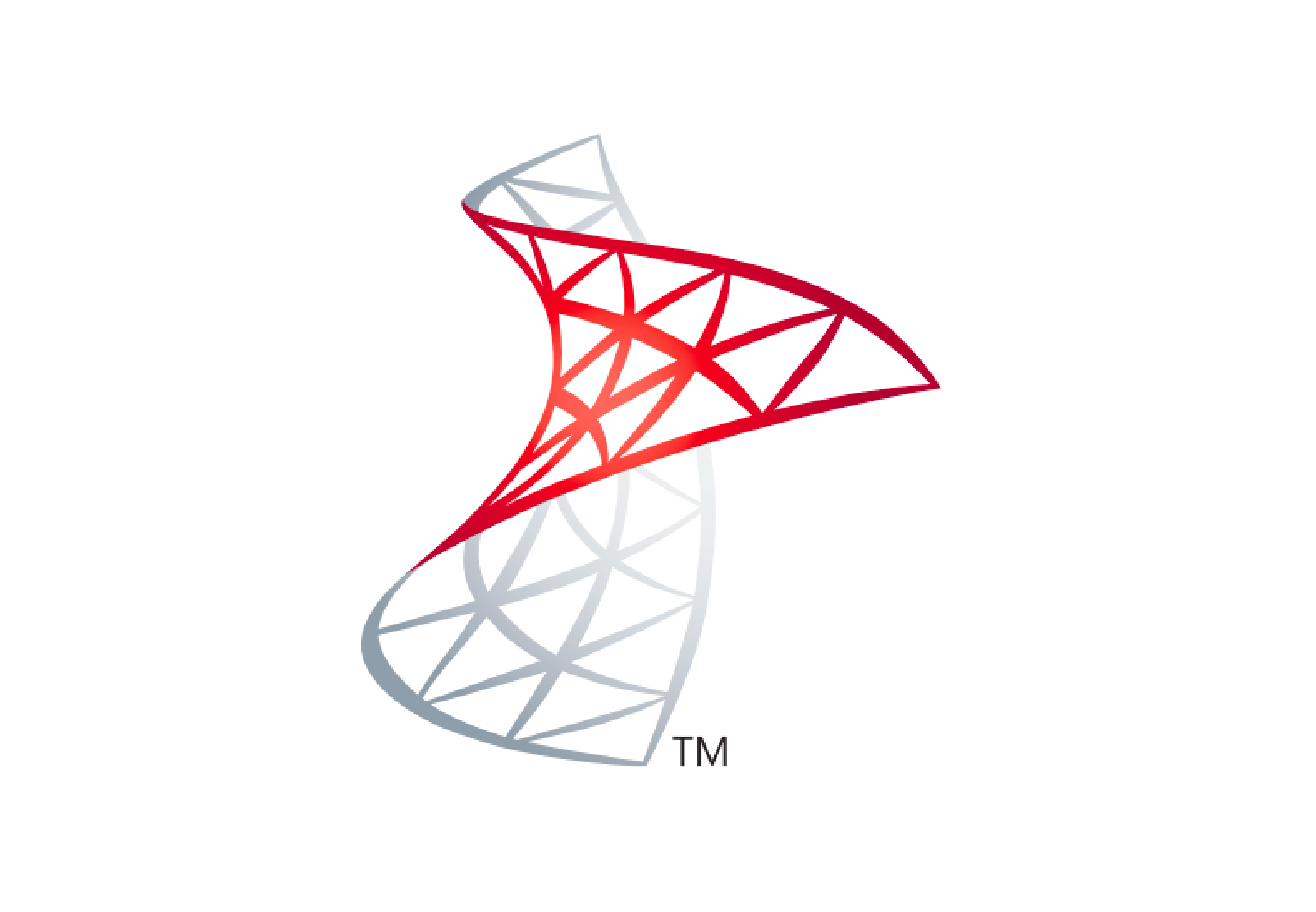 SQL Server Integration Services (SSIS) logo