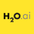 H20