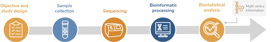 Big Data and IT architecture for data analytics